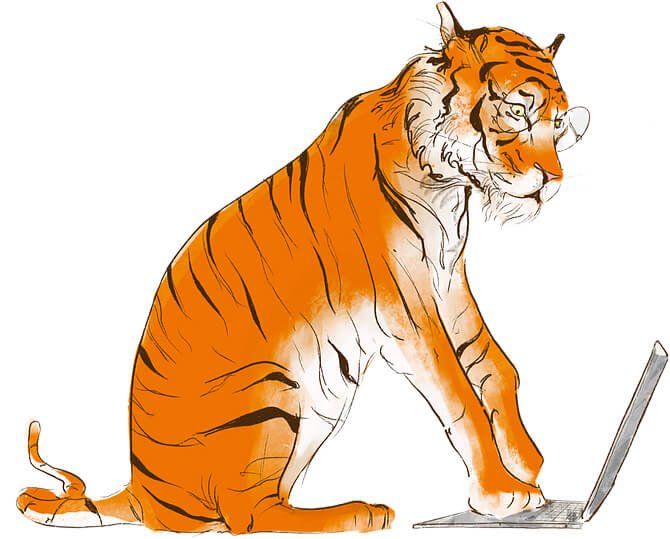 AimHi Tiger